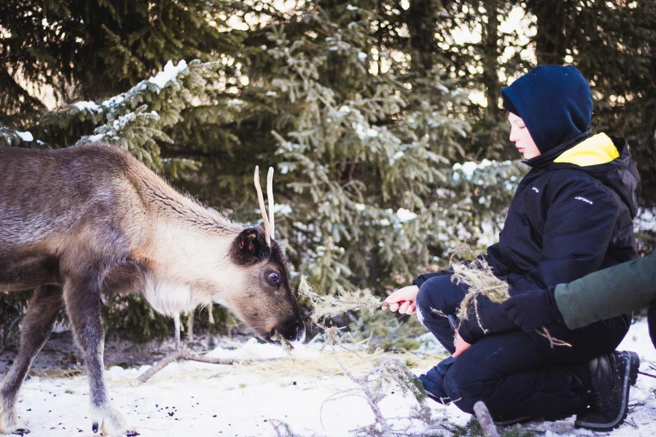 Villa Beautiful Rural Experience With Reindeer Tervola Esterno foto