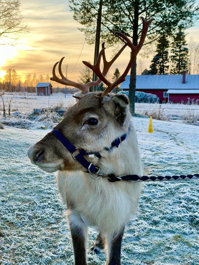 Villa Beautiful Rural Experience With Reindeer Tervola Esterno foto
